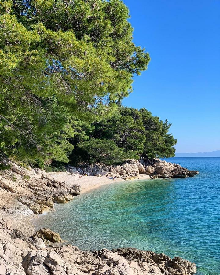 Apartmán Strandhaus Dalmatien Zaostrog Exteriér fotografie